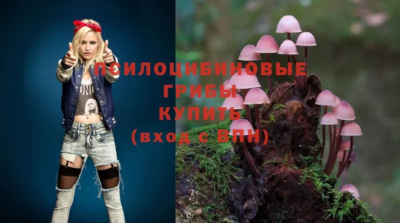 Галлюциногенные грибы MAGIC MUSHROOMS  Болгар 